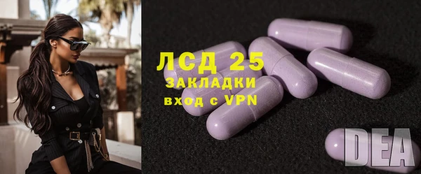 ПСИЛОЦИБИНОВЫЕ ГРИБЫ Алзамай