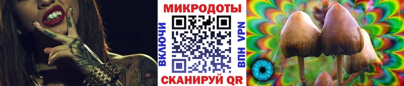 Псилоцибиновые грибы мицелий  hydra онион  Знаменск  цена  